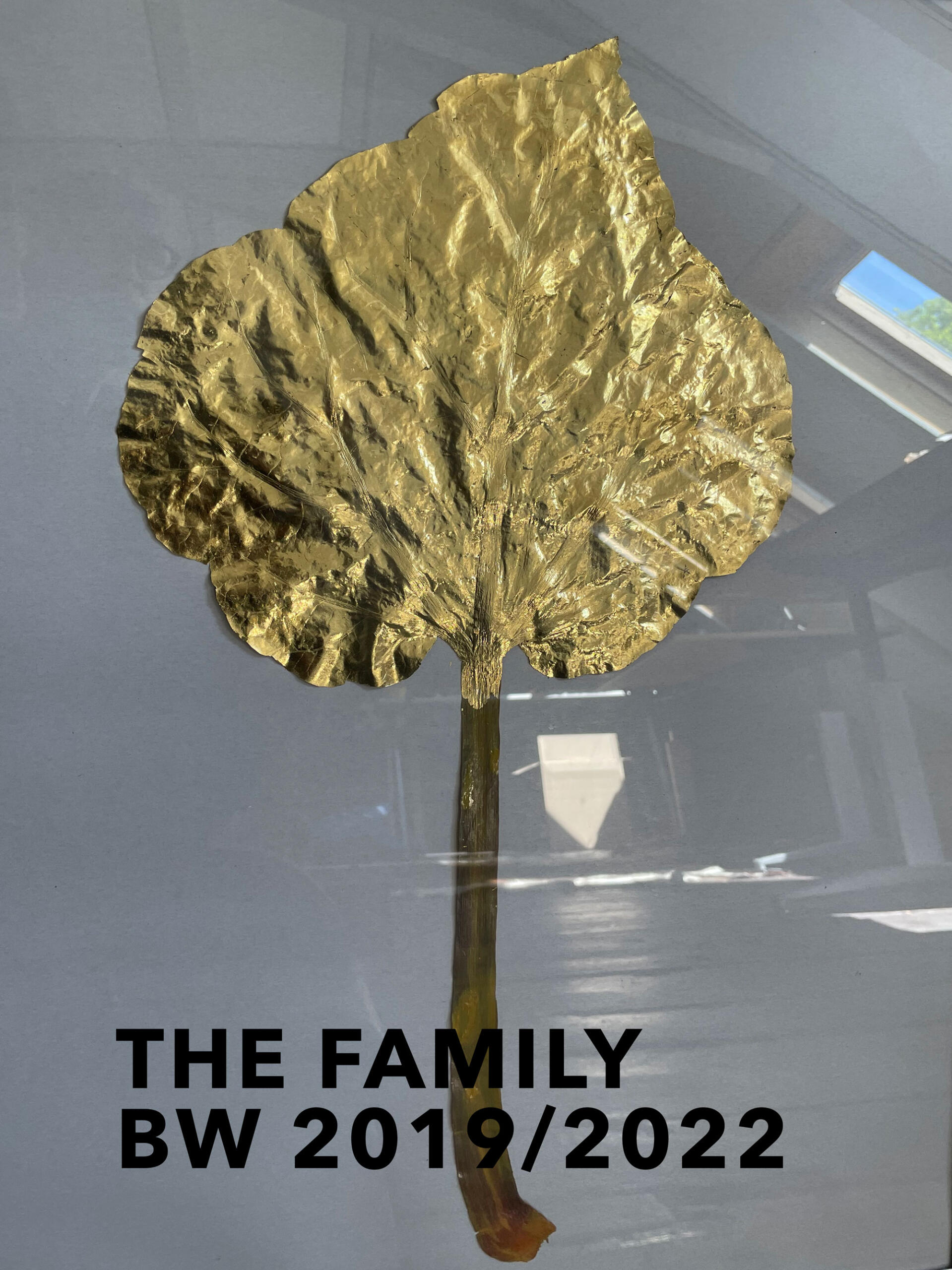 The Family