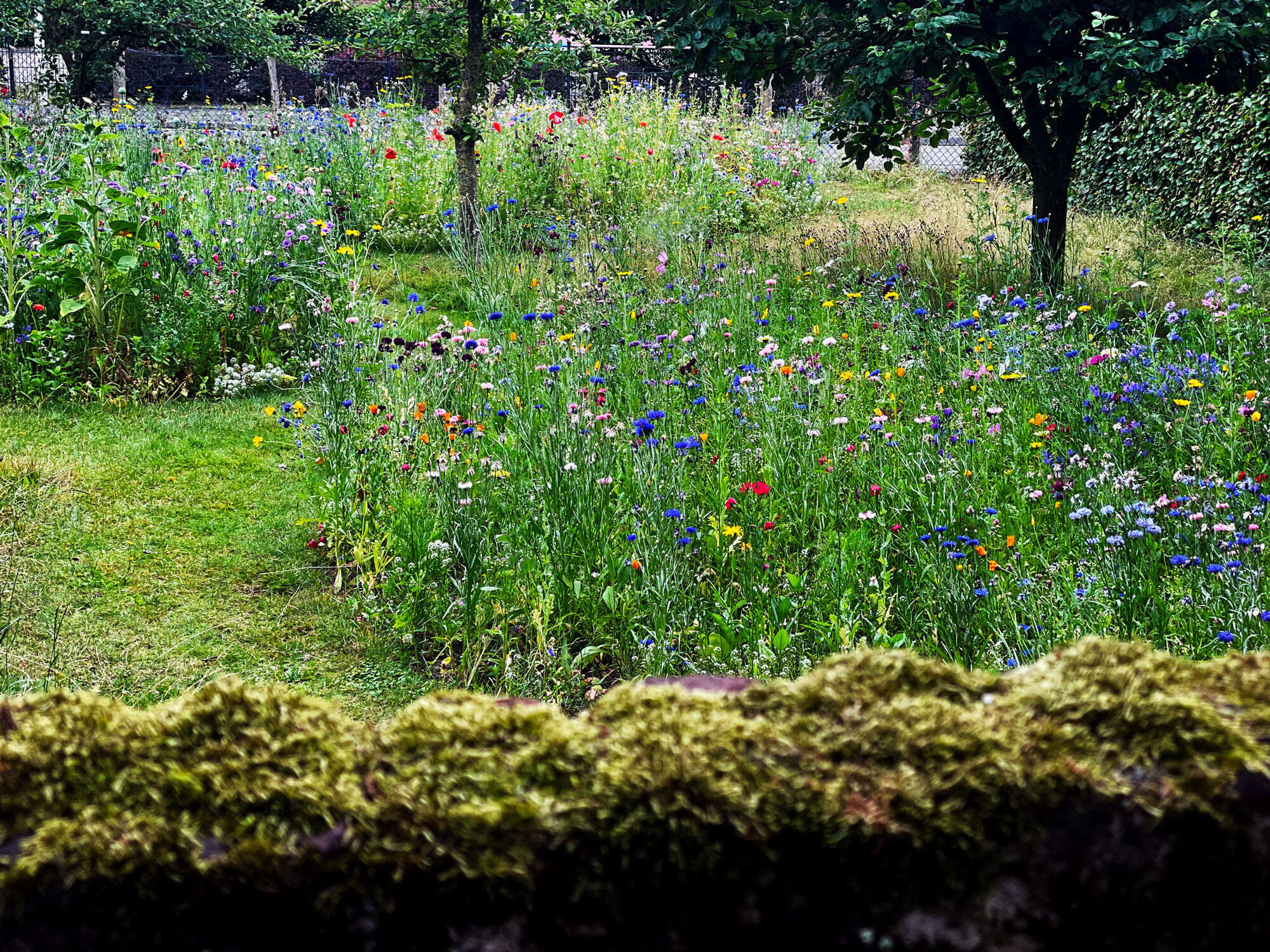 Garden of the Three Ecologies