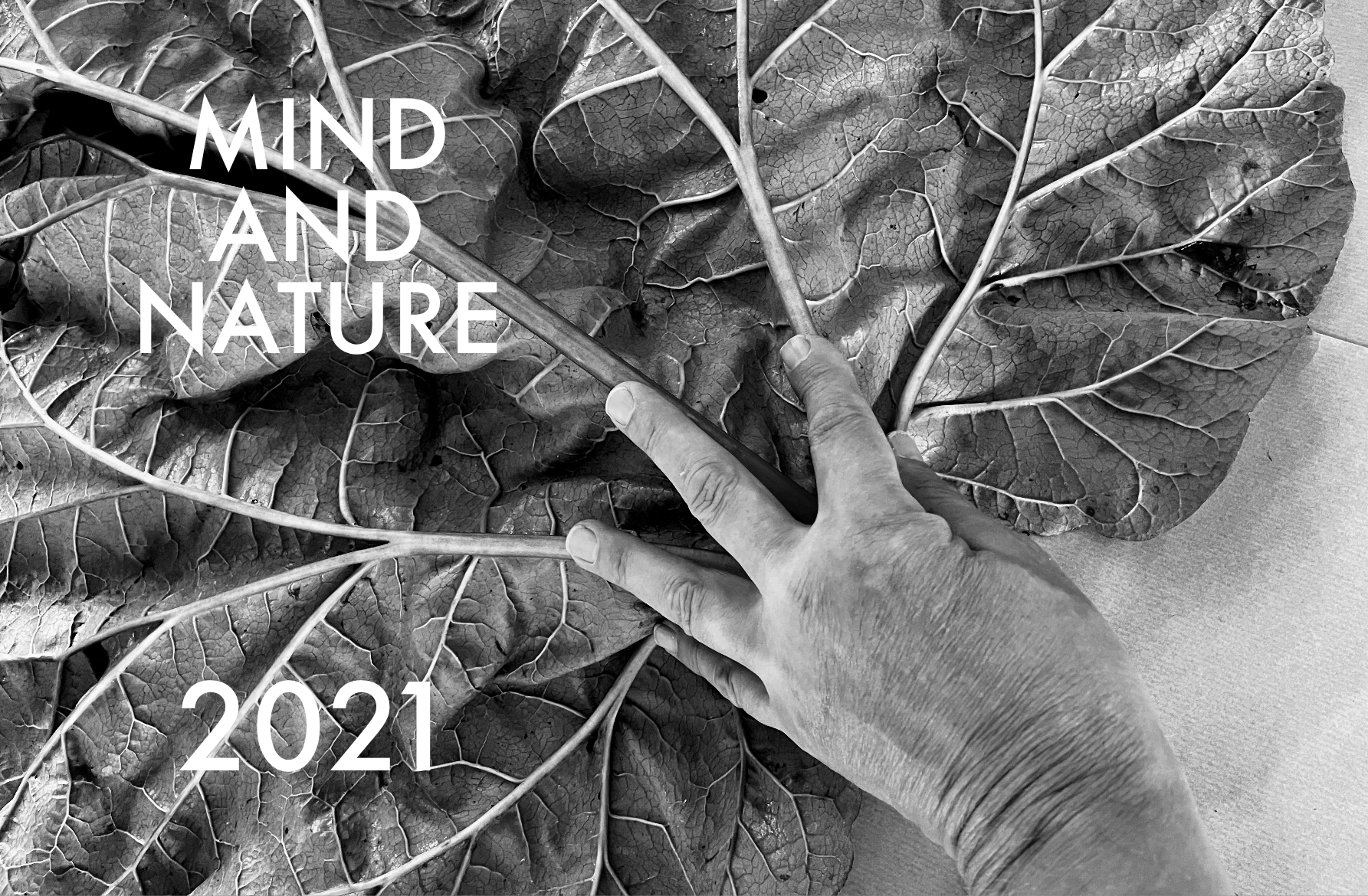 Mind and Nature