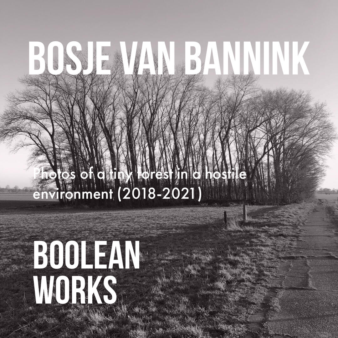 Bosje van Bannink